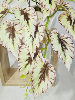 Искусственная Бегония светлая изящная 40 см в кашпо