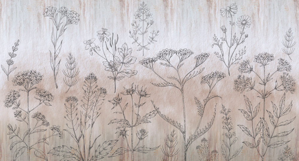 Коллекция Grafika Natura