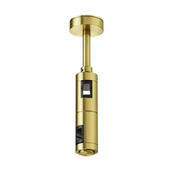 Крепление потолочное двойное Short 78мм Flarity латунь Technical tra156c-d1-bs