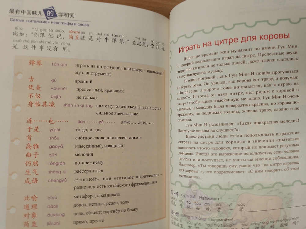 Самые "китайские" иероглифы и слова Textbook + CD