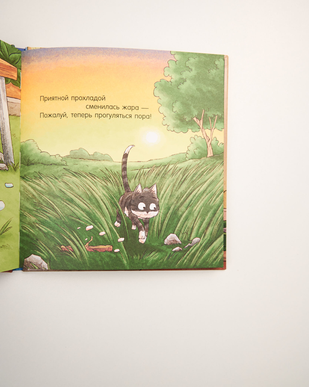 Комплект «Сказки на ночь», 5 книг