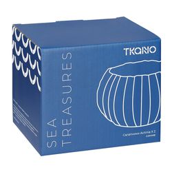 Набор из 2 салатников Actinia синего цвета из коллекции Sea treasures, 640 мл