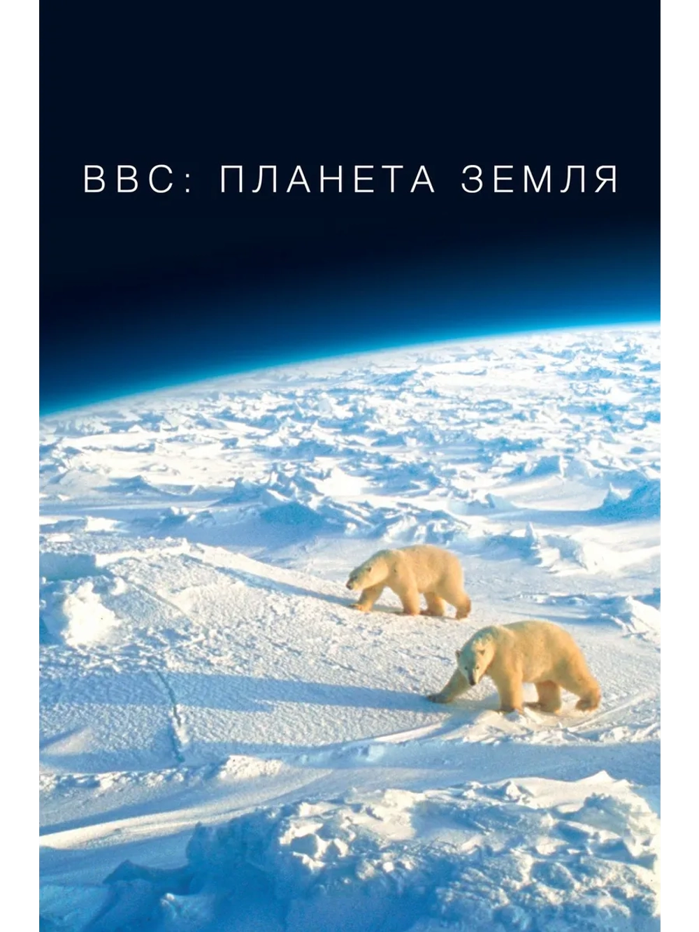 BBC: Планета Земля (5 DVD) (DVD-R)
