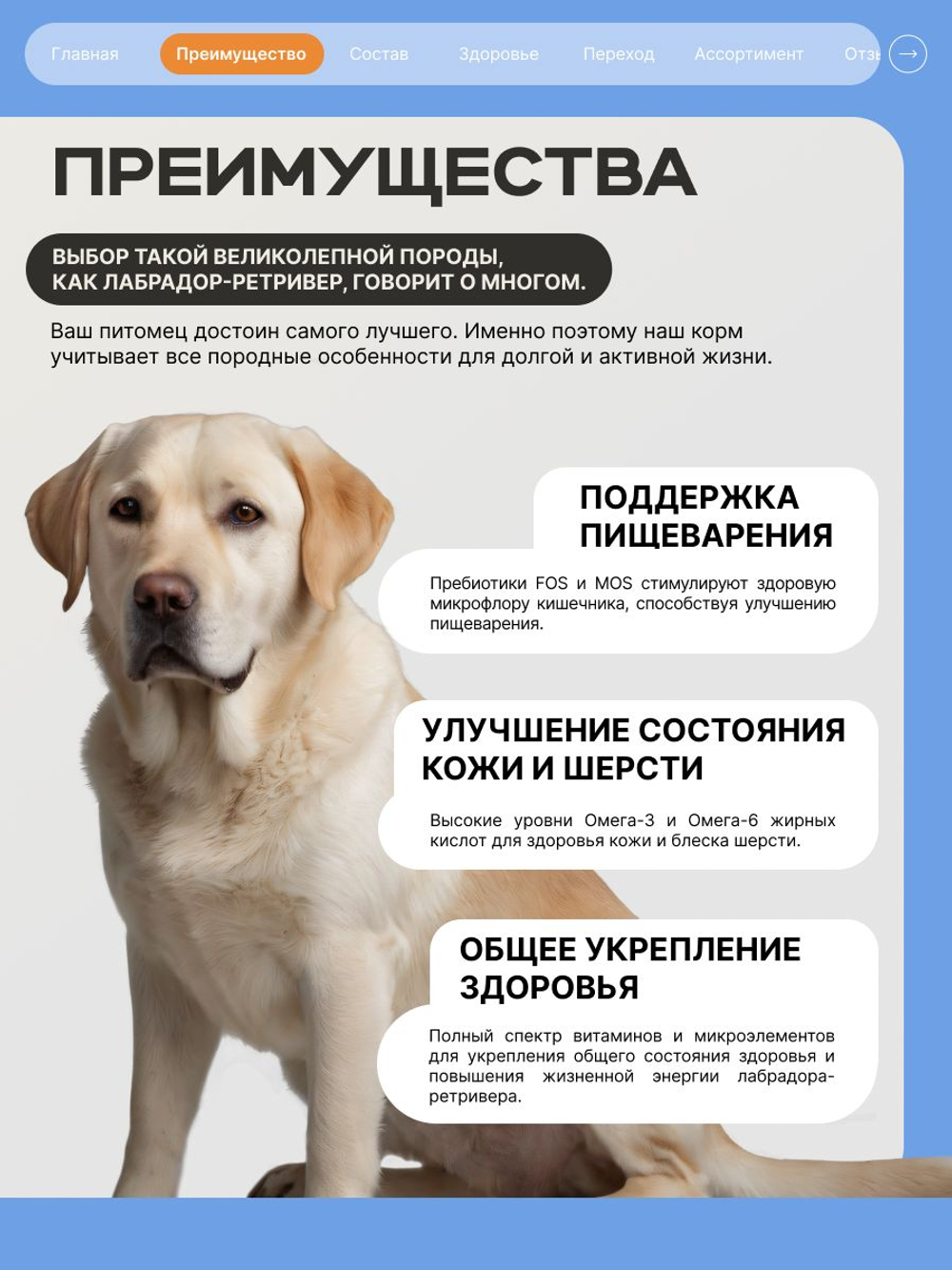 Корм сухой для взрослых собак породы Лабрадор-ретривер, премиум полнорационный комплекс, с индейкой, 3 кг, QUATTRO