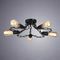 Потолочная люстра Arte Lamp A9344PL-5BK