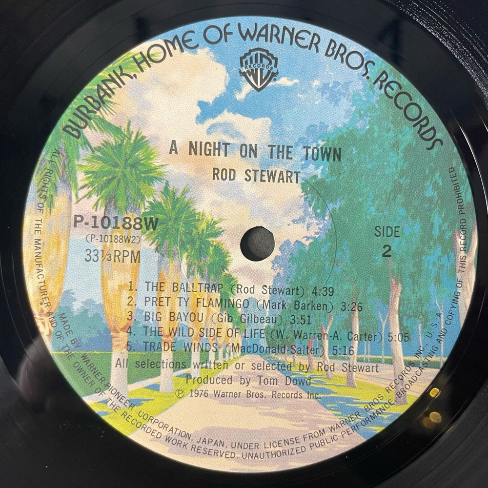 Винтажная виниловая пластинка LP Rod Stewart A Night On The Town (Japan 1976) (Obi)