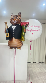 Шары для девушек №525