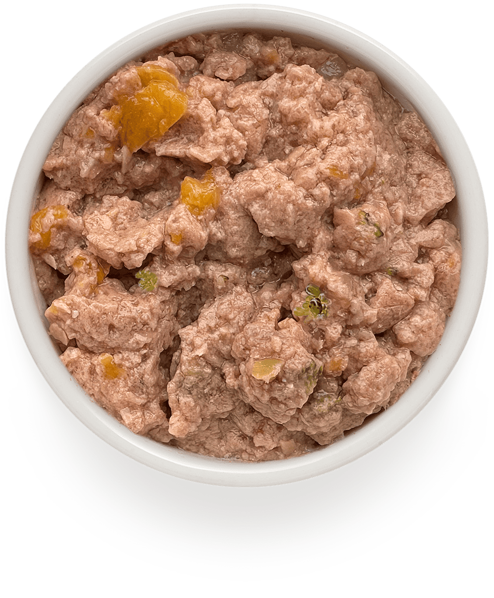 Монопротеиновый влажный корм GRANDORF FRESH для собак всех пород из индейки с тыквой и брокколи 200г