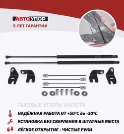 Газовые упоры капота АвтоУпор для BAIC U5 Plus (2023-), 2 шт., UBAU5P011