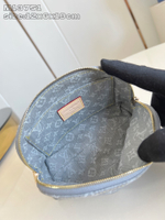 Louis Vuitton Cosmetic Pouch PM