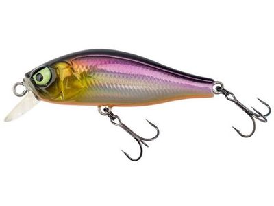 Anira 49SP