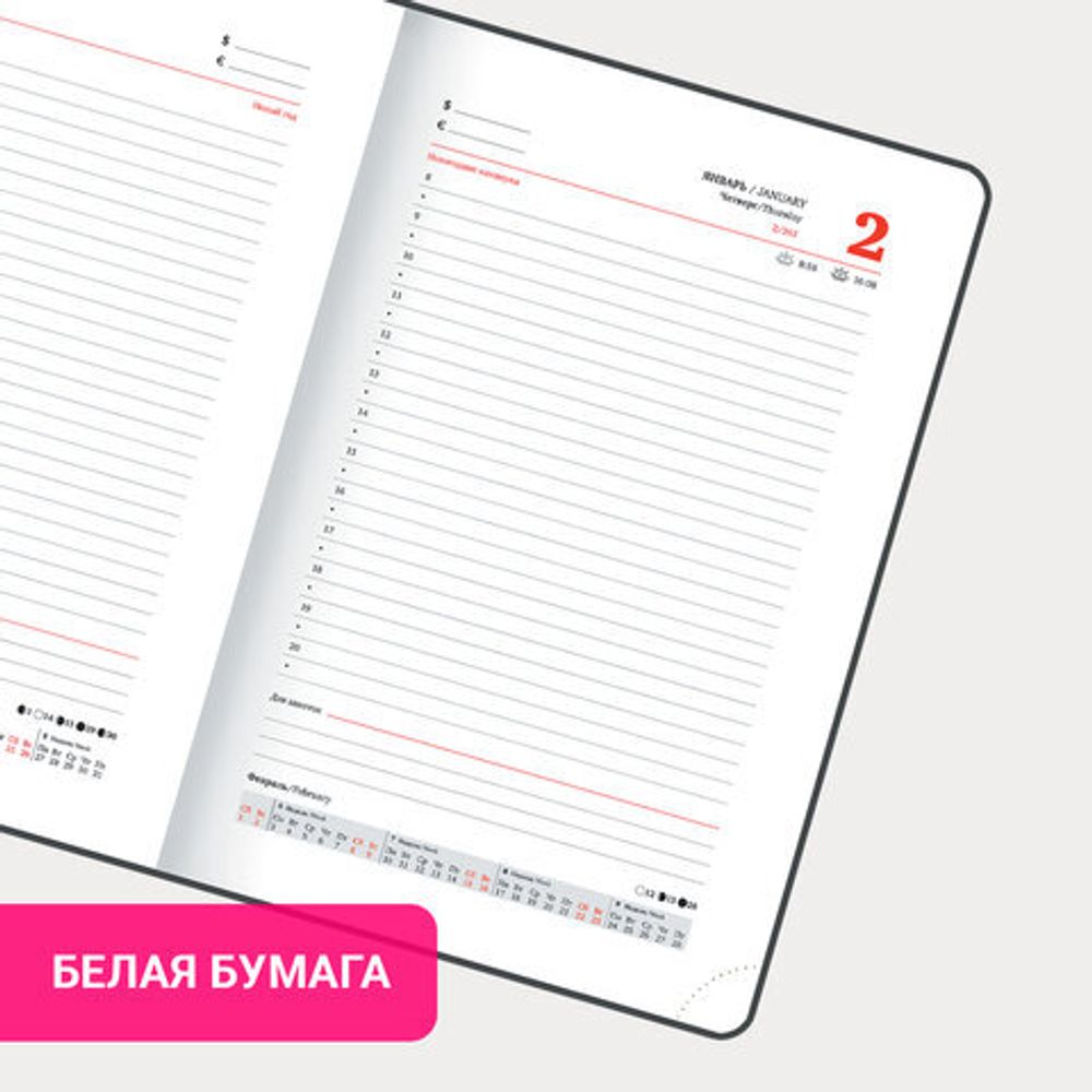 Ежедневник датированный 2025, А5, 138x213 мм, BRAUBERG "Wood", под кожу, держатель для ручки, резинка-фиксатор, серый, 115832