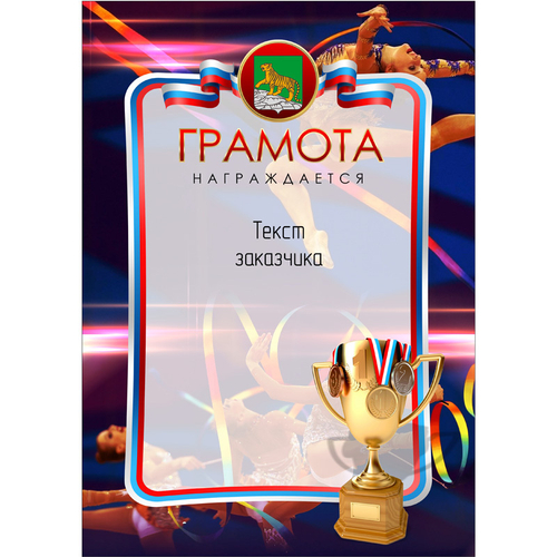 PNDiploma-042 с текстом