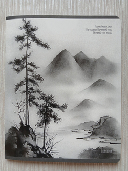 Тетрадь 48 листа А5+. "Прозрачная Дымка", общая, клетка. Формат А5+ (163*203 мм). Арт.120047. С полями. Комплект 5 шт.