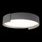 Потолочный светодиодный светильник Loft IT Coin 10200 Grey