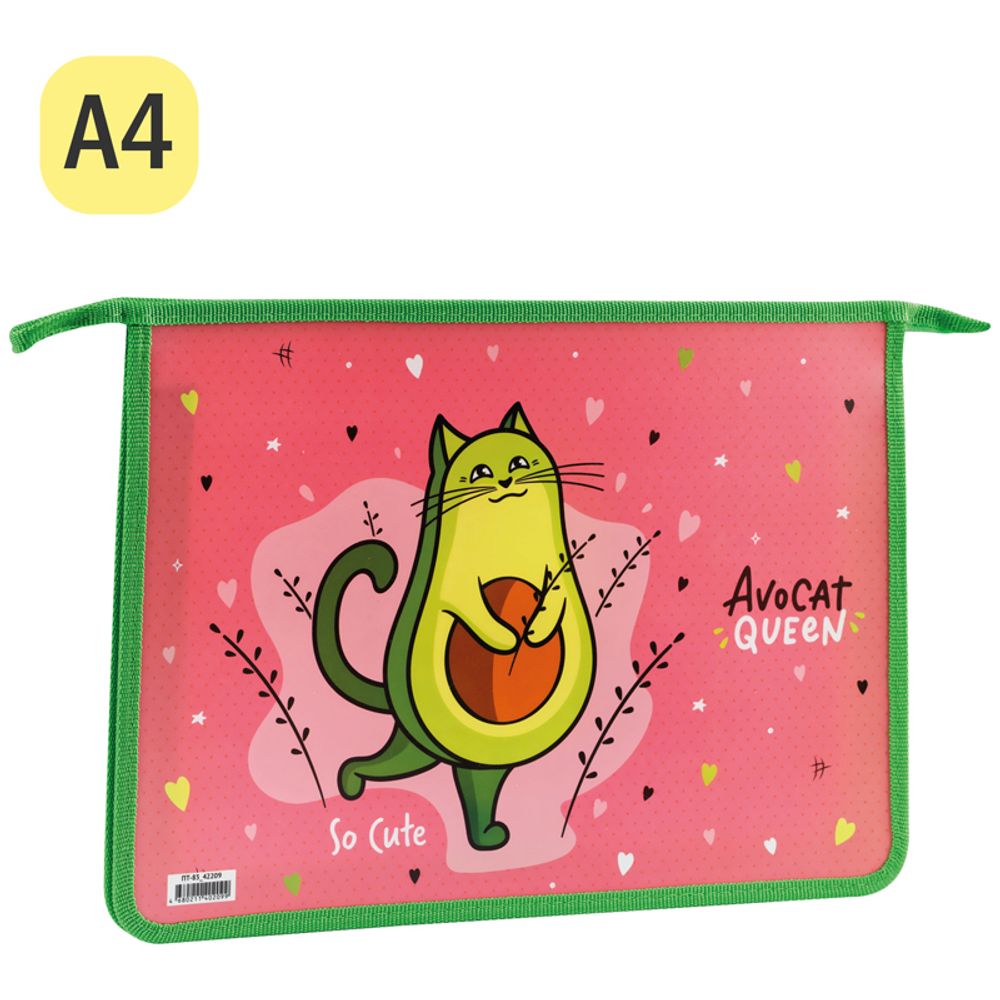 Папка для тетрадей 1 отделение А4 на молнии Спейс AvoCat, пластик