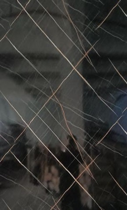 Листовая панель ПВХ "Гибкий мрамор" DESIGN MODERN, U09