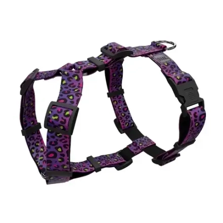 Шлейка Леофанк