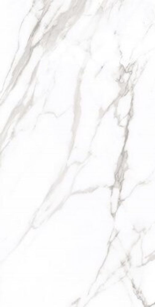 ARTCER Marble Royal White 60x120