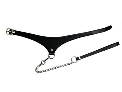 Черный кожаный ошейник Black Phoenix с поводком (Цвет: черный)