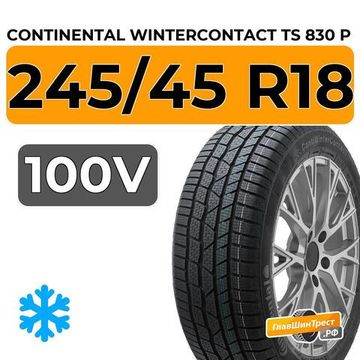 Continental WinterContact TS 830 P 245/45 R18 100V XL RunFlat
