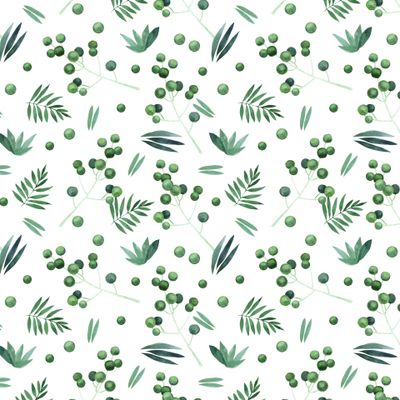 акварельные веточки и листья на белом фоне