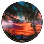 Lenny Kravitz / Raise Vibration (Picture Disc)(2LP)