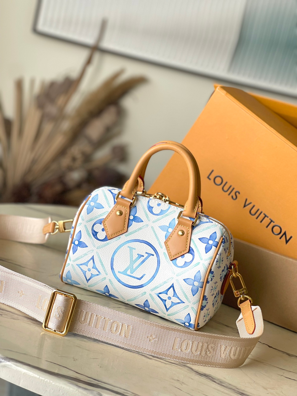 Louis Vuitton Speedy 20