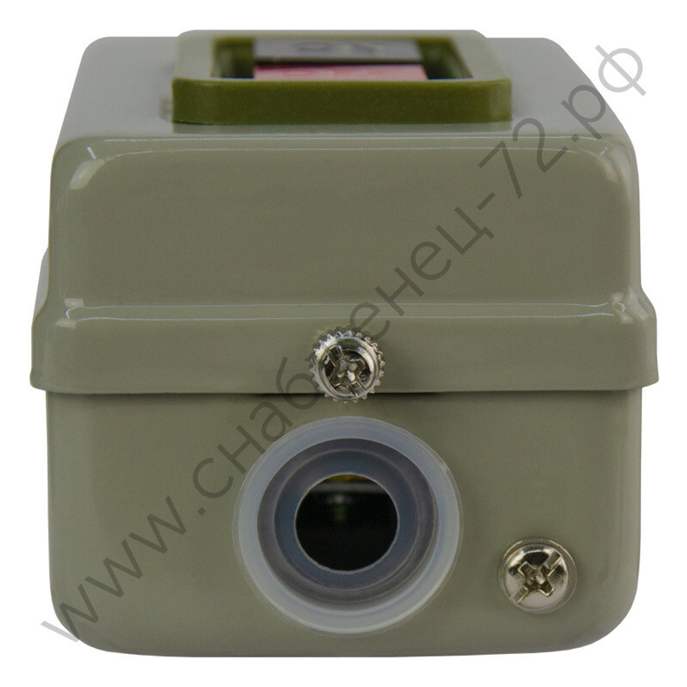 Посты кнопочные Энергия BS