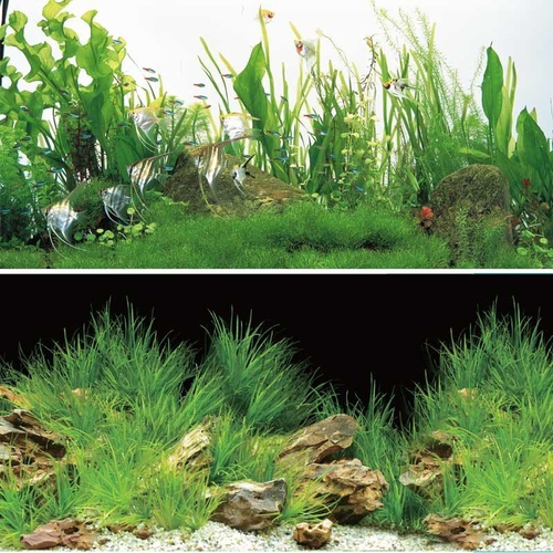 Фон пленка двусторонний 50см. Ночная прогулка / Новое утро, Laguna (за м.)