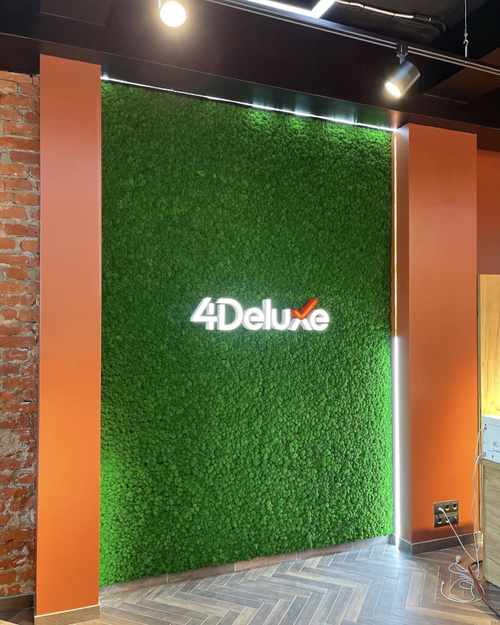 Вертикальное озеленение офиса стабилизированным мхом ягель