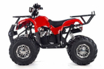 Квадроцикл RAPTOR Max Pro 150