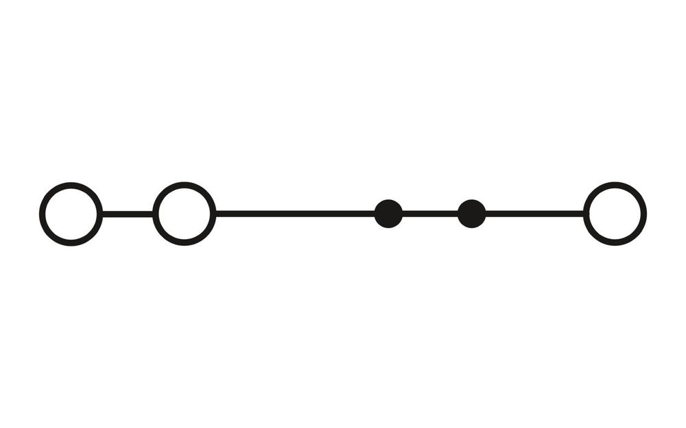 3037504 - STS 2,5-TWIN OG - Проходные клеммы