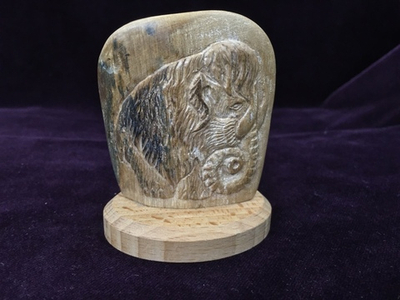 Мамонт, экран