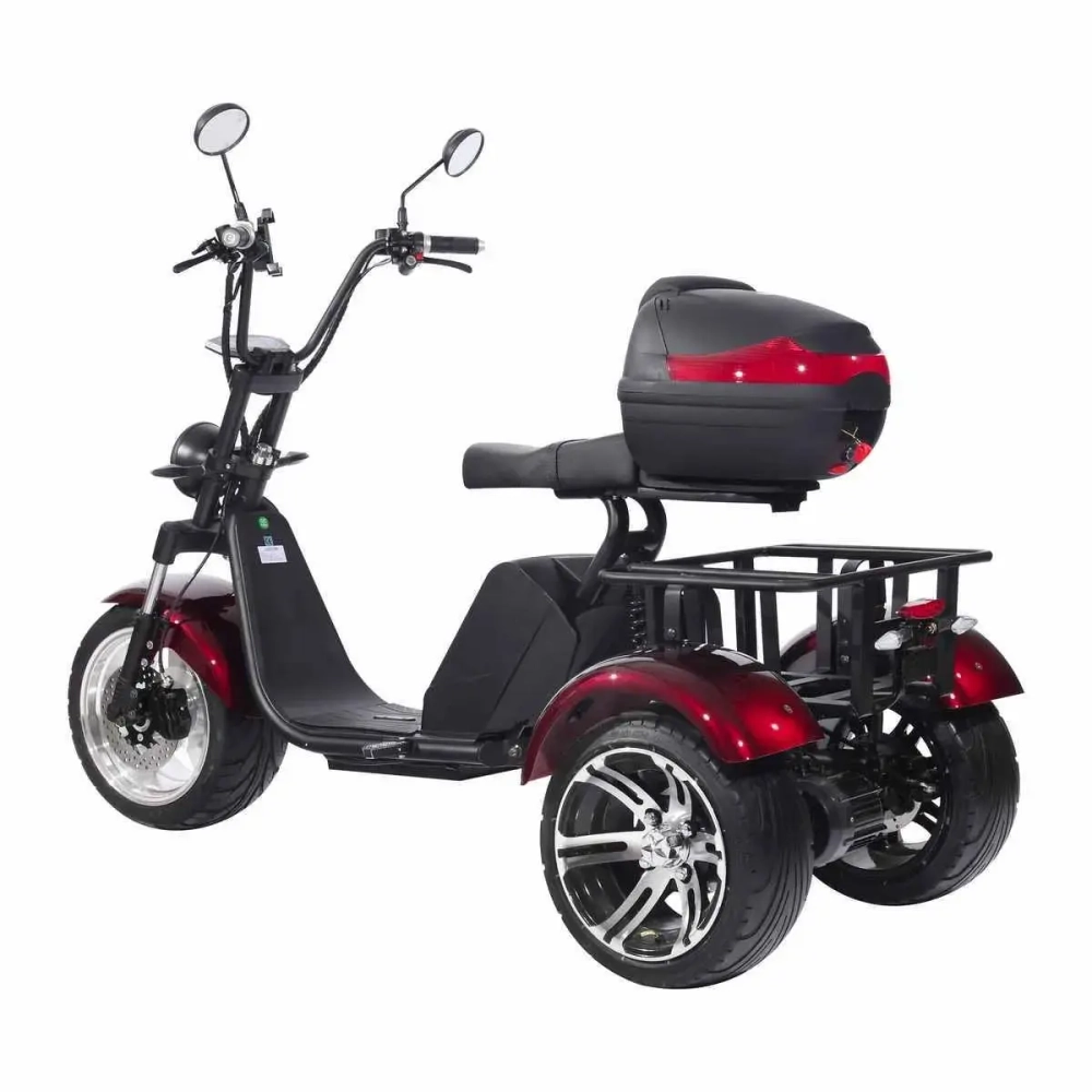 Электроскутер SKYBOARD CITYCOCO TRIKE BR80