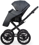 Детская коляска Riko Basic Montana X Ecco Prestige 2 в 1 24 Graphite (графит)