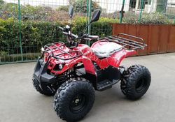 Квадроцикл подростковый GreenCamel Атакама T320 (48V 1000W R8 Дифференциал) электро