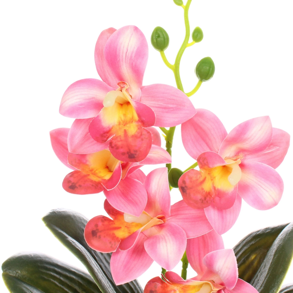 Цветочная композиция «Орхидея» 10*28см розовая в пластиковом горшке