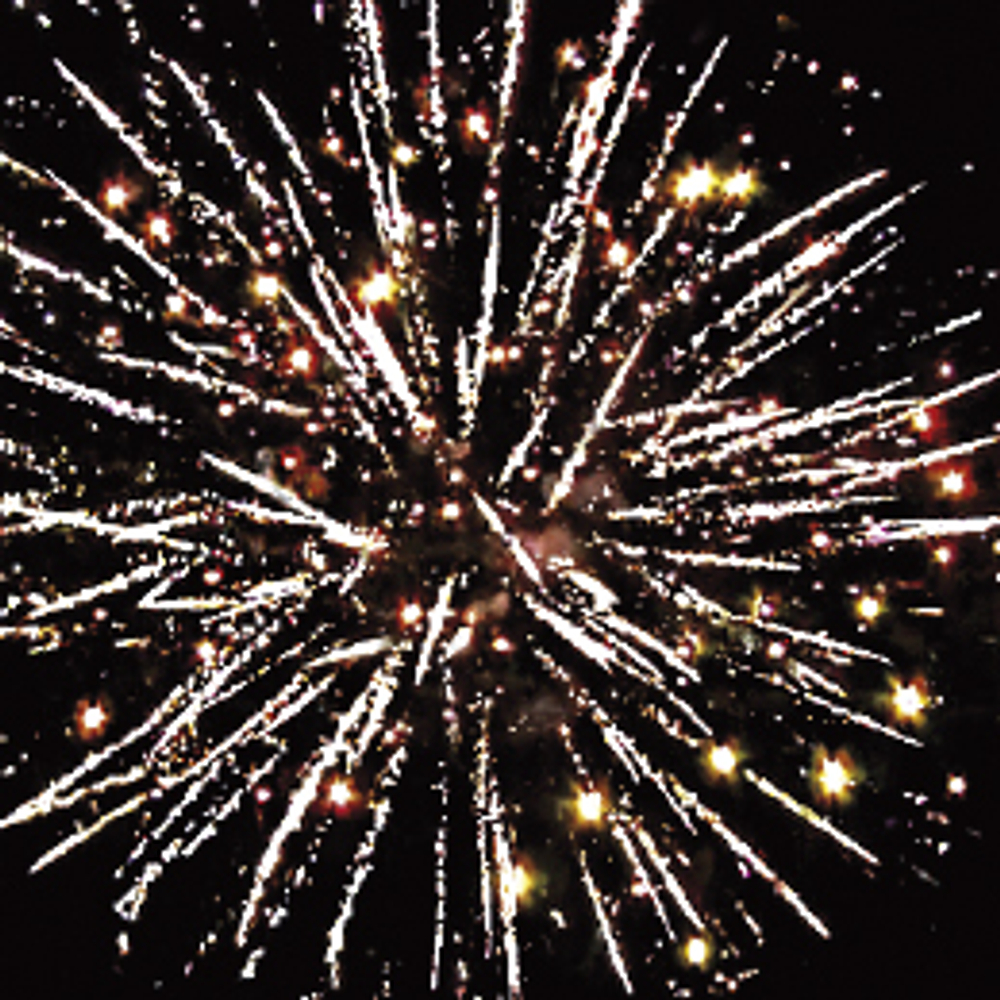 Батарея салютов "Ёлки-палки" (0,8"х 49)