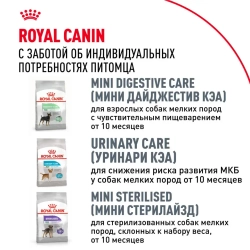 Royal canin chihuahua adult сухой корм для собак породы чихуахуа в возрасте 8 месяцев - 1,5 кг