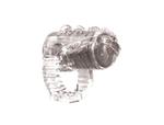 Насадка на язык Rings Teaser transparent 0116-01Lola