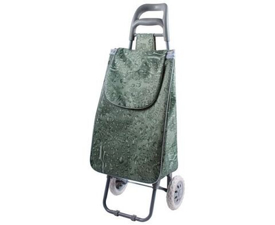 Рыжий кот Сумка-тележка