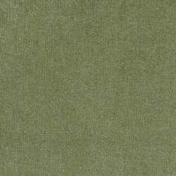 Велюр Daily / Дэйли