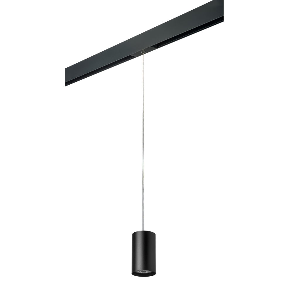 Трековый светильник Lightstar Rullo PRORP437