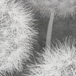 Обои флизелиновые с принтом Растения, графитовые, 10.05 х 1.06 м, надежный