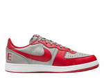Баскетбольные кроссовки Nike Terminator Low Red-Gray Shoes