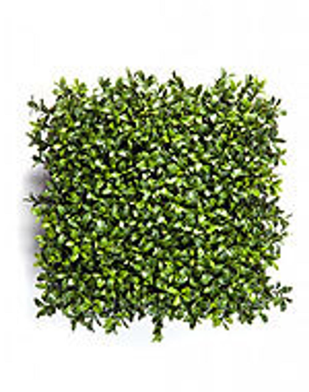 Самшитовый коврик Новый в-7 см, 25х25 см (пластик) 6/72 20.5926CP