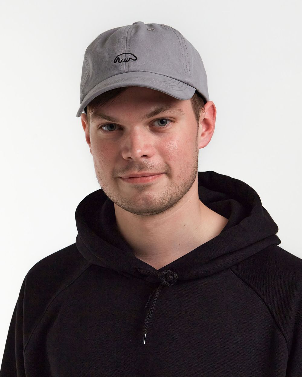 Кепка Anteater 6Panel серая