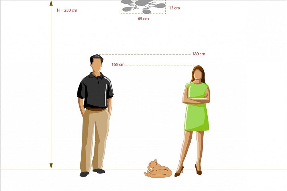 Потолочная люстра MW-Light Фиеста 10 267012005