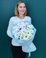 Кустовая хризантема"Ромашка",5 веток(00156)